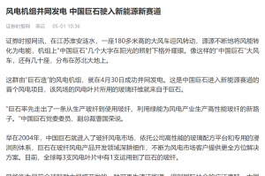 时报：风电机组并网发电 中国J9九游会老哥俱乐部驶入新能源新赛道